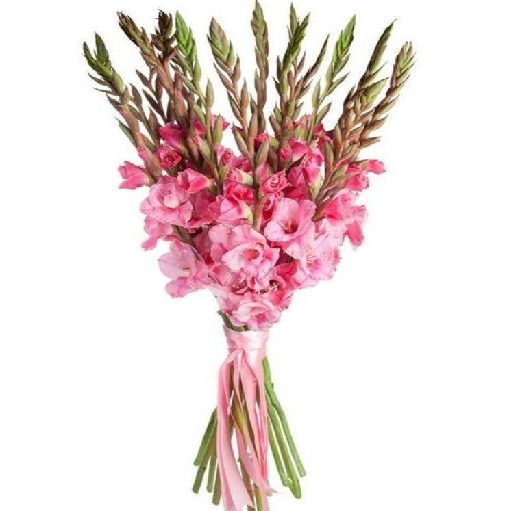 Pink Gladiolus Bouquet - Florist London