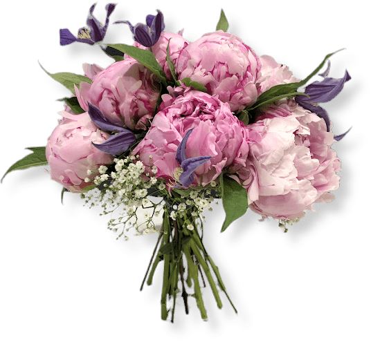 Pink Peonies in Purple Bouquet - Florist London