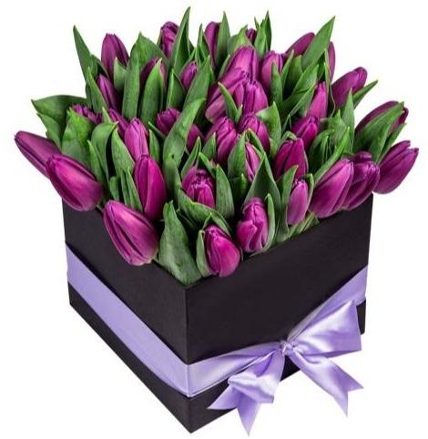 Purple Tulips Box - Florist London