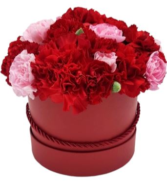 Red and Pink Carnations Box - Florist London