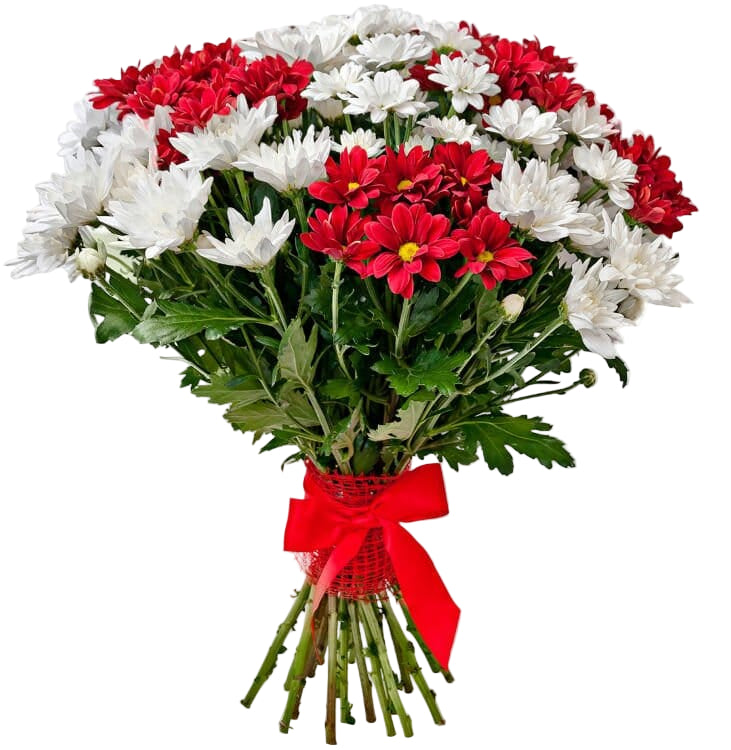 Red and White Chrysanthemum Bouquet