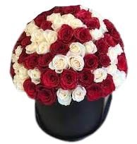 Red and White Roses Box - Florist London