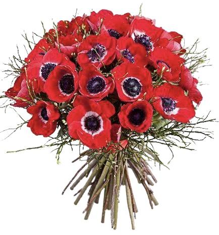 Red Anemone Classic Bouquet - Florist London