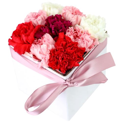Romantic Colourful Carnation Box - Florist London