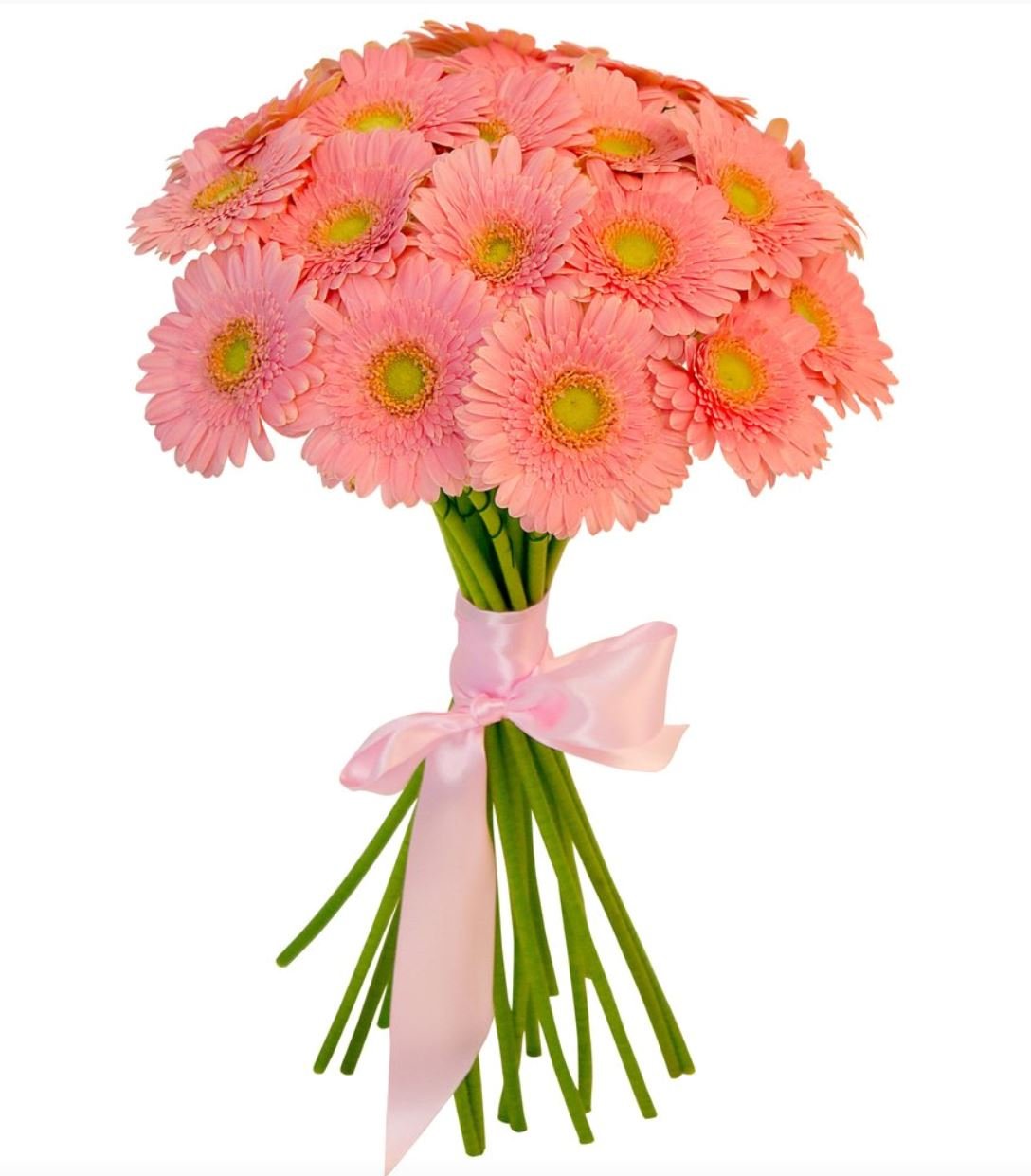 Salmon Gerbera Bouquet - Florist London