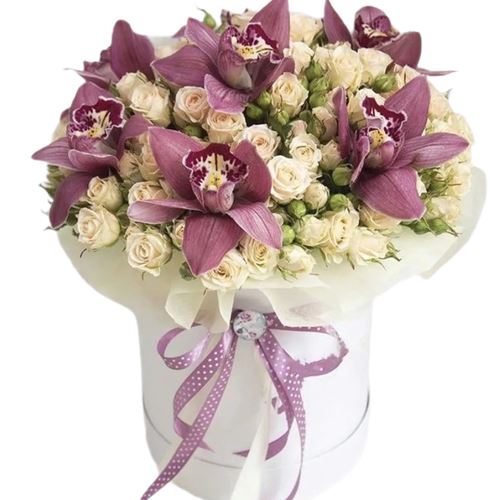 Spray Roses with Cymbidium Box - Florist London
