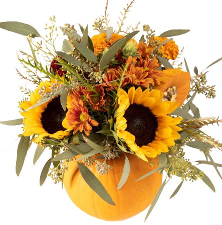 Sunflowers in Pumpkin - Florist London