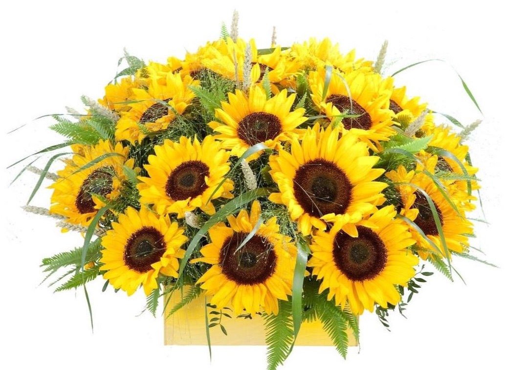 Sunflowers with Greenery Box - Florist London