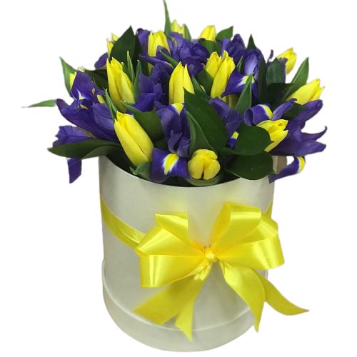 Tulips with Irys Box - Florist London