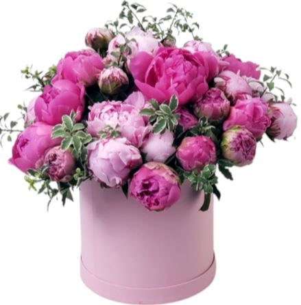 Two Shades Peony Box - Florist London