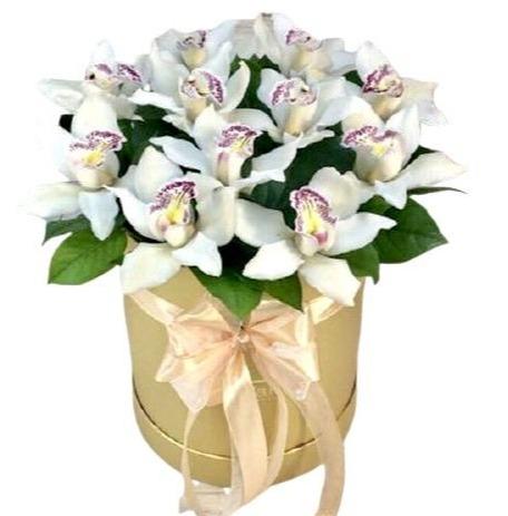 White Cymbidium in a Box - Florist London