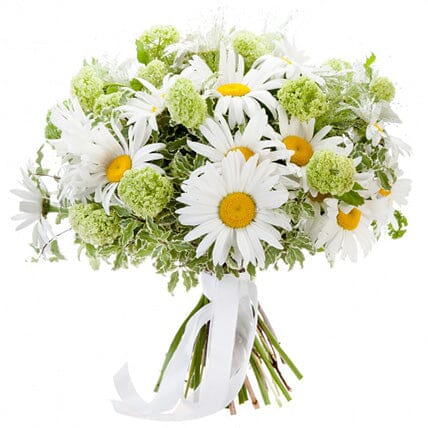 White Daisy and Green Viburnum Bouquet - Florist London