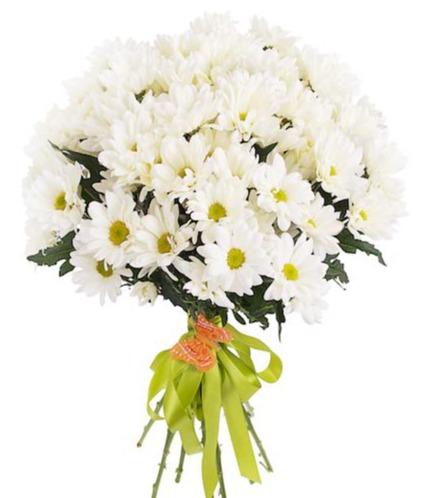 White Daisy Chrysanthemum Bouquet - Florist London