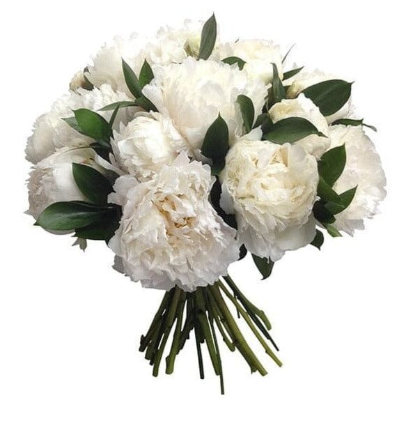 White Peonies with Ruscus Bouquet - Florist London
