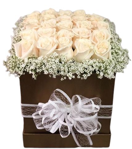 White Roses with Gypsophila Box - Florist London