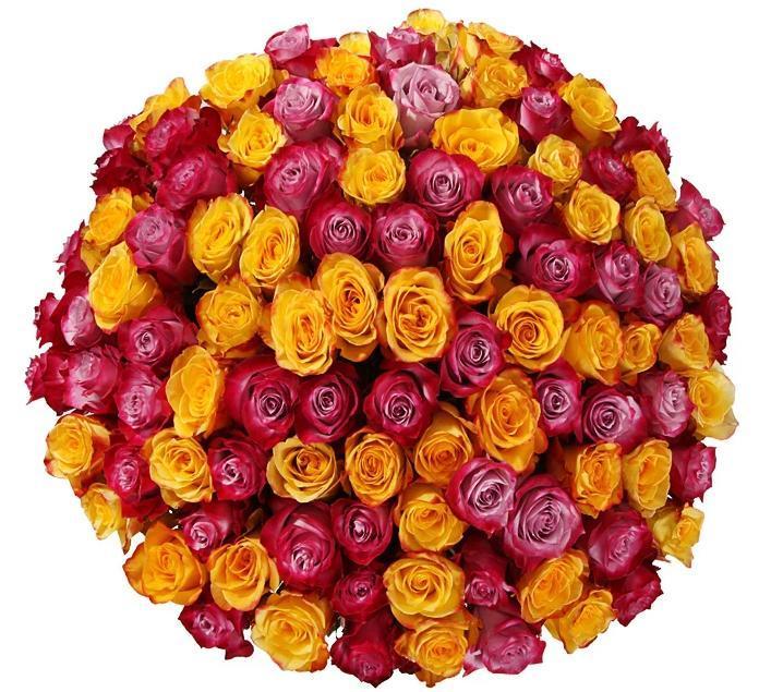 Yellow and Cherry Roses - Florist London