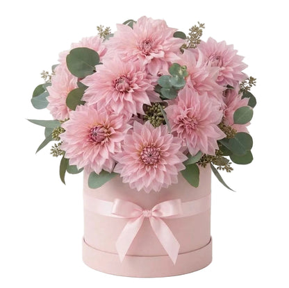 A Box of Luxury Pink Dahlia