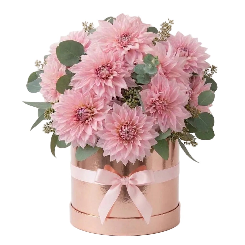 A Box of Luxury Pink Dahlia