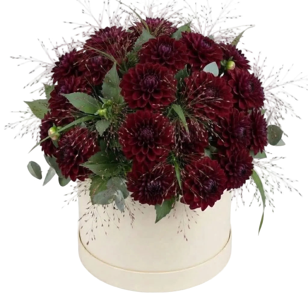 Amazing Burgundy Dahlia Box Arrangement