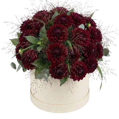Amazing Burgundy Dahlia Box Arrangement