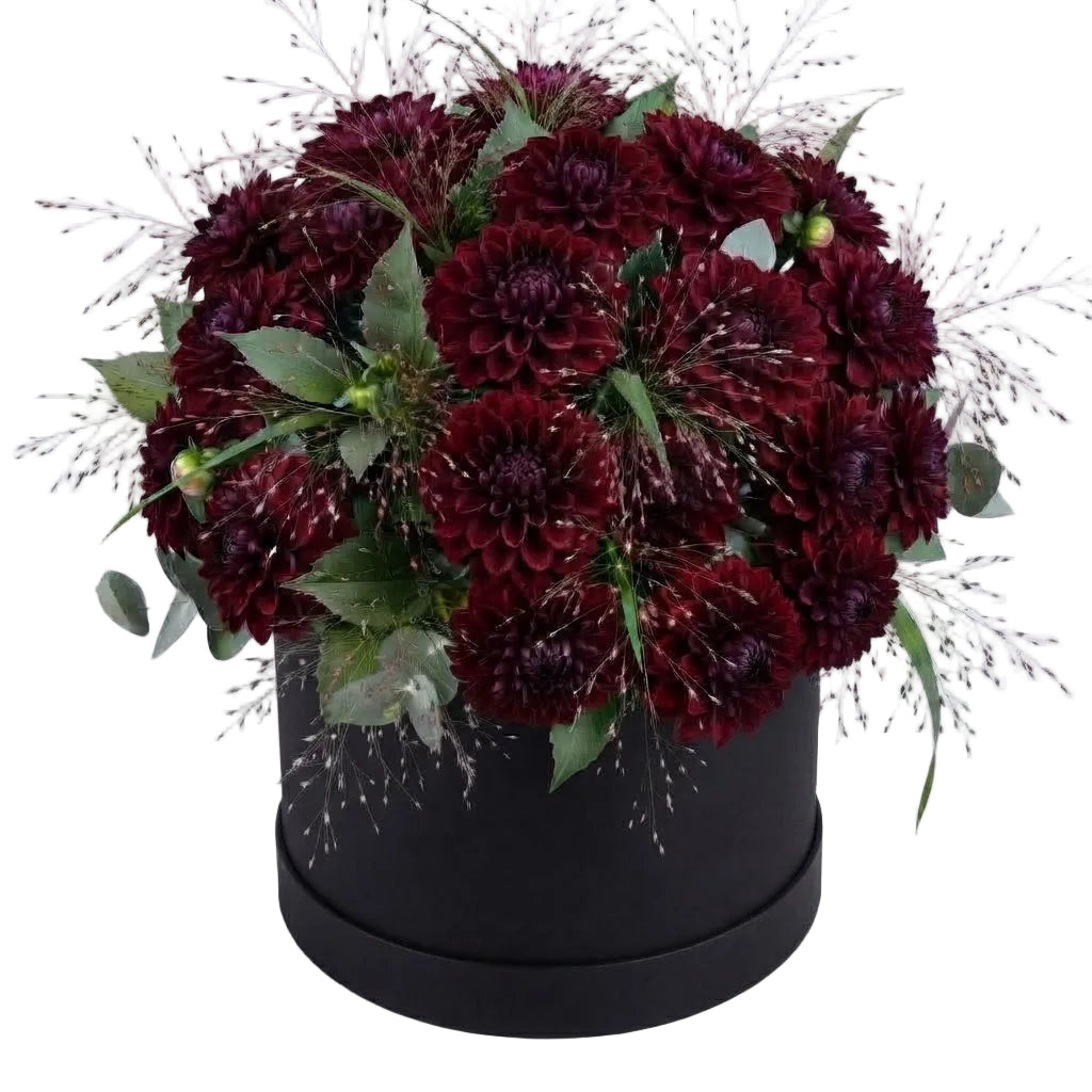 Amazing Burgundy Dahlia Box Arrangement