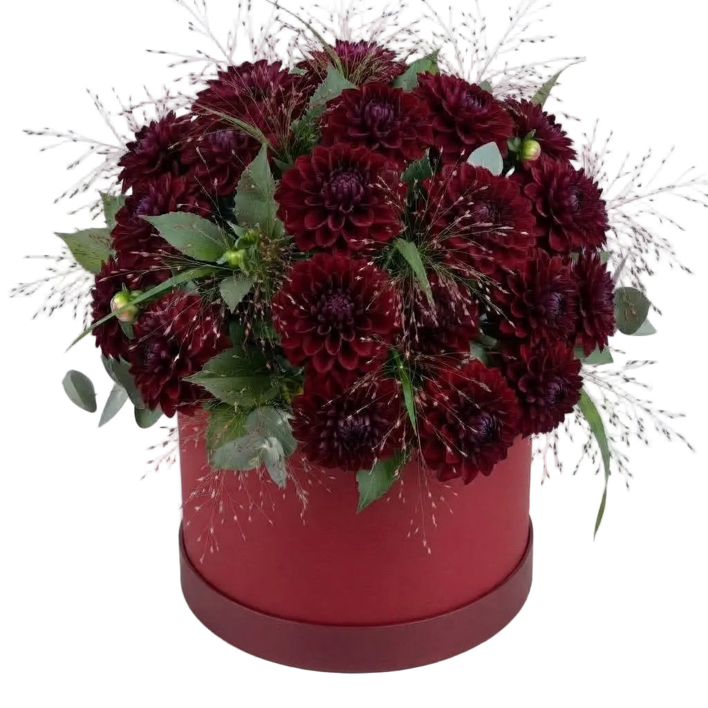 Amazing Burgundy Dahlia Box Arrangement