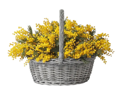 Basket of Mimosa