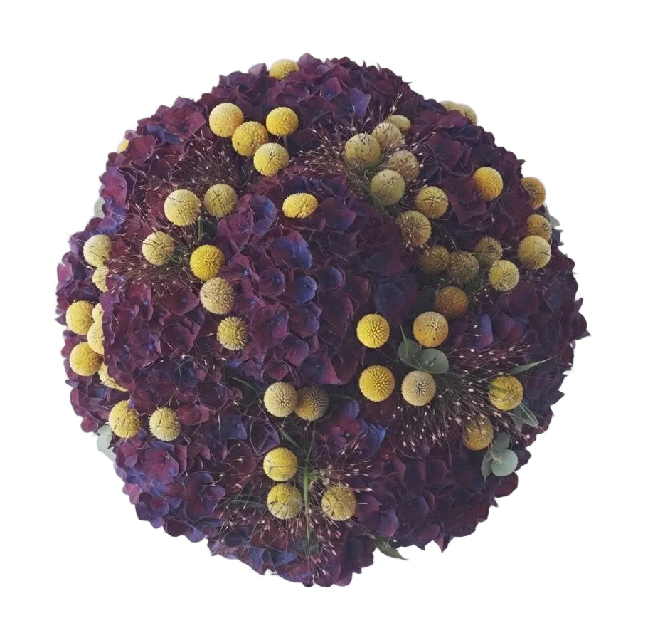 Luxury Hydrangea Bouquet with Craspedia