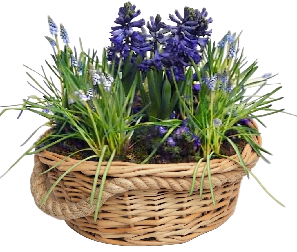 Blue Flowers Basket