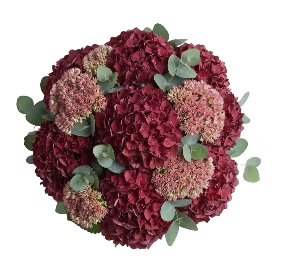 Bouquet of Hydrangea with Sedum