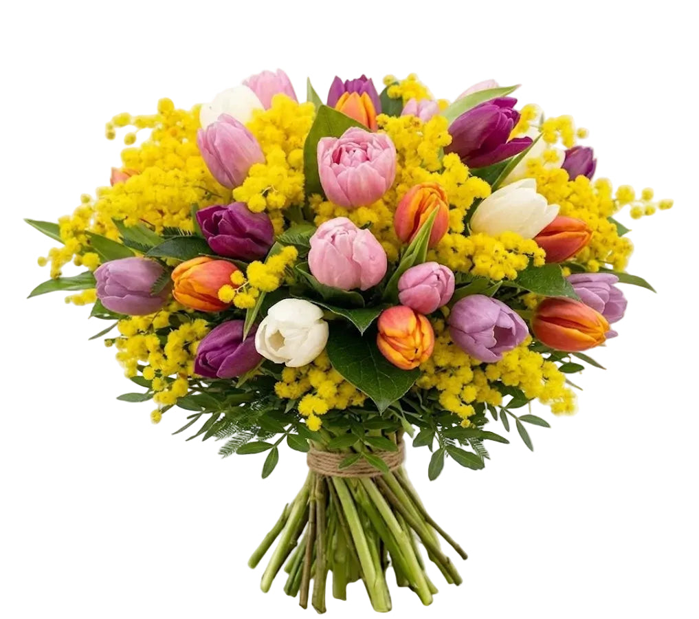 Bouquet of Mimosa and Colored Tulips