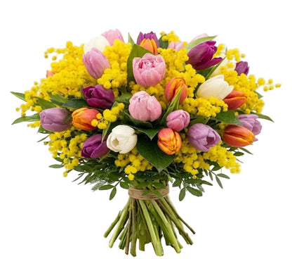 Bouquet of Mimosa and Colored Tulips