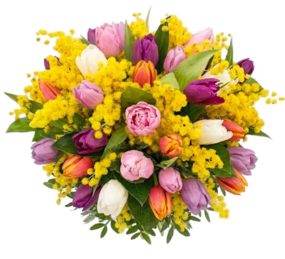 Bouquet of Mimosa and Colored Tulips