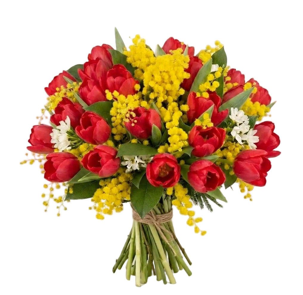Bouquet of Mimosa and Tulips