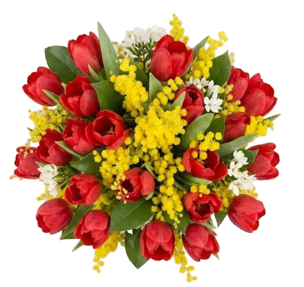 Bouquet of Mimosa and Tulips