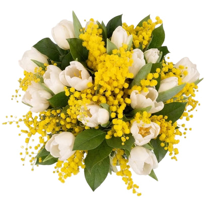 Bouquet of Mimosa and Tulips