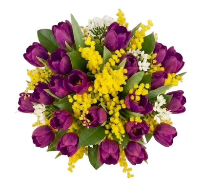 Bouquet of Mimosa and Tulips