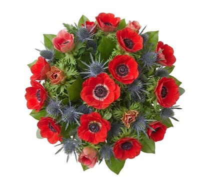 Bouquet of Red Anemone with Eryngium