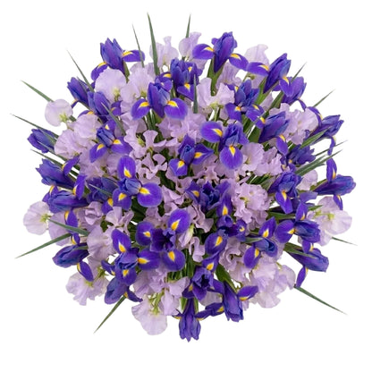 Bouquet of Sweet Peas and Blue Irises