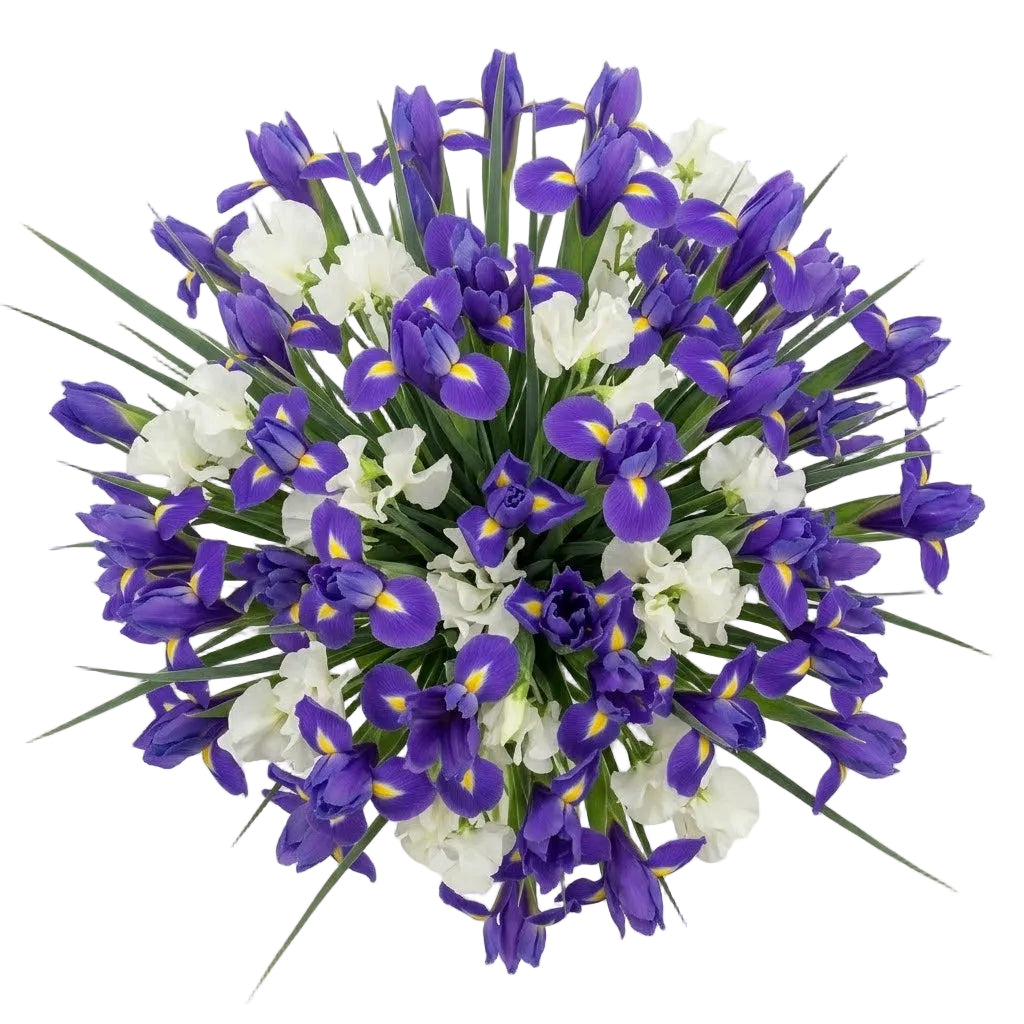 Bouquet of Sweet Peas and Blue Irises