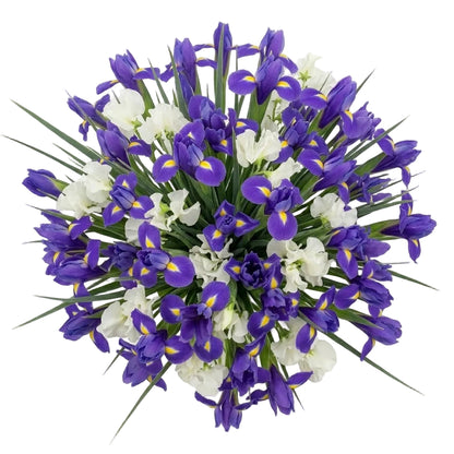 Bouquet of Sweet Peas and Blue Irises