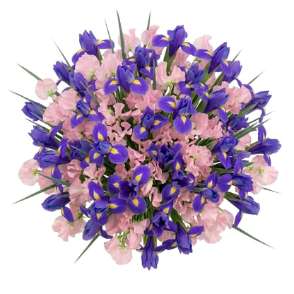 Bouquet of Sweet Peas and Blue Irises