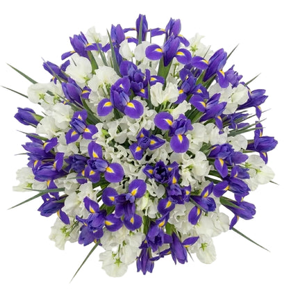 Bouquet of Sweet Peas and Blue Irises