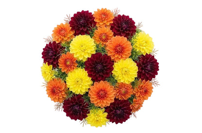 Bright Trio Dahlia Bouquet