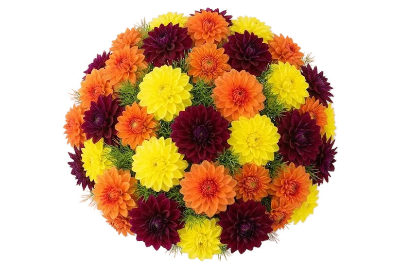 Bright Trio Dahlia Bouquet