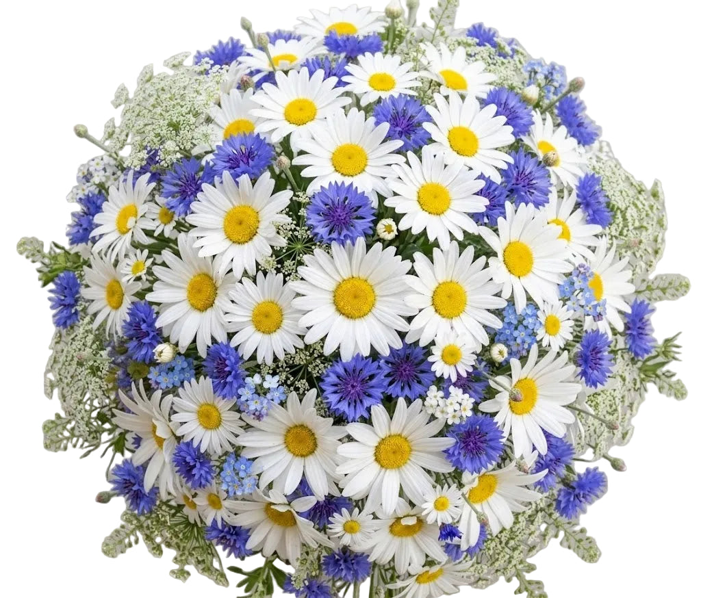 Charming Blue and White Meadow Style Bouquet