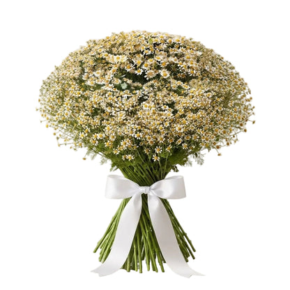 Cheerful Daisy Tanacetum Bouquet