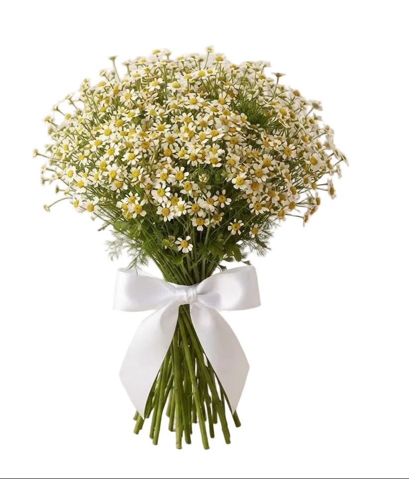 Cheerful Daisy Tanacetum Bouquet