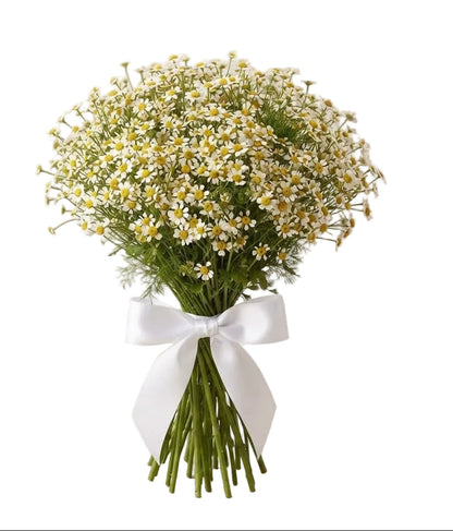 Cheerful Daisy Tanacetum Bouquet
