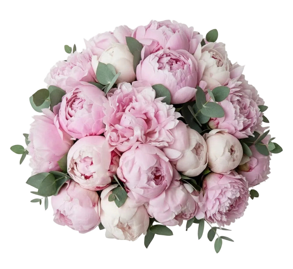 Classic Peonies Bouquet with Eucalyptus